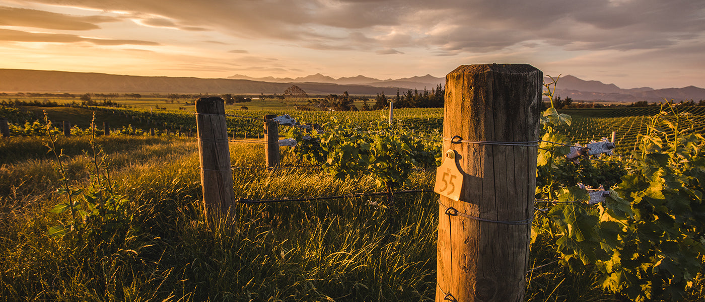 Churton Wines in Marlborough, New Zealand